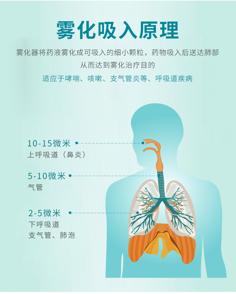 德国帕瑞压缩雾化吸入机医院款turboboy